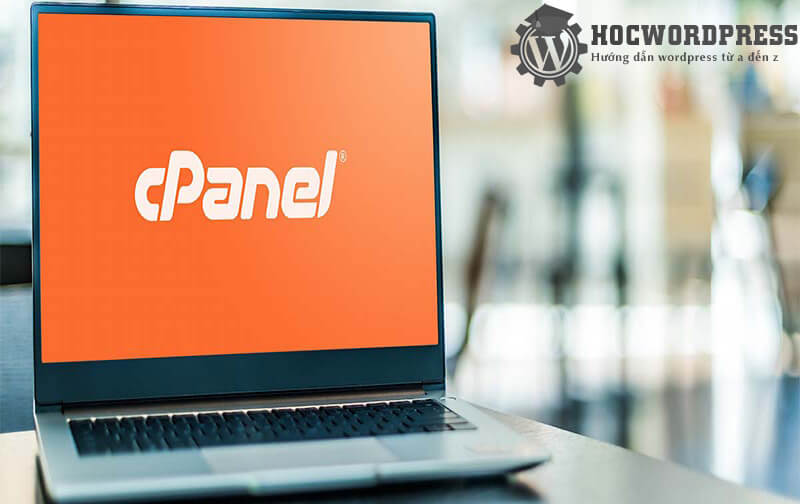 Huong dan 2 cach tro domain ve host cPanel don